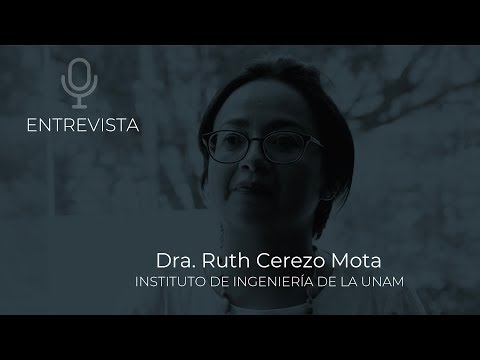Entrevista a la Dra. Ruth Cerezo Mota