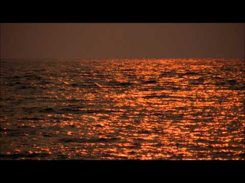 Anton Firtich feat. Betsie Larkin - Out Of The Storm (Dub Mix)