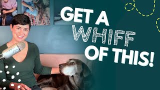To Your Dog, You Smell Like Love: The Science of Scent Enrichment | Ep. 6