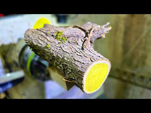 What I Made From This Rare Bright Yellow Wood Will Surprise You