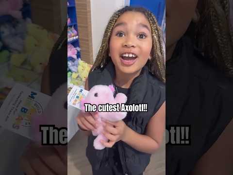 Build A Bear Rainbow Axolotl