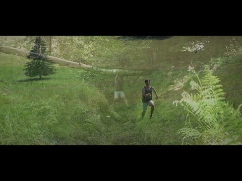 Dáma s hranostajem - Na vlastní pěst