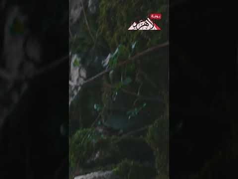 دعاء 28 رمضان بصوت الإعلامي الكبير شحاتة العرابي| فيديو.. عاجل 