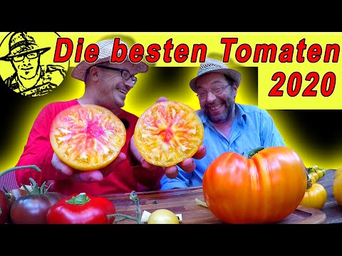 , title : 'Diese Tomaten brauchst du im Garten - alte Sorten gegen F1-Hybrid-Tomate - beste Tomaten 2020'