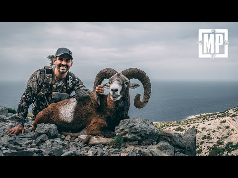 Hunting Mouflon and Hybrid Kri Kri Ibex - Dugi Otok Island in Croatia | Mark V. Peterson Hunting