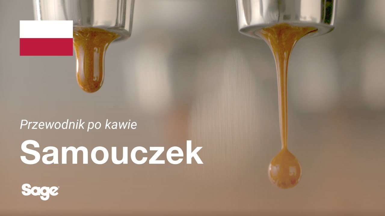 Samouczek kawowy Breville - Zrównoważony zaparzony napar