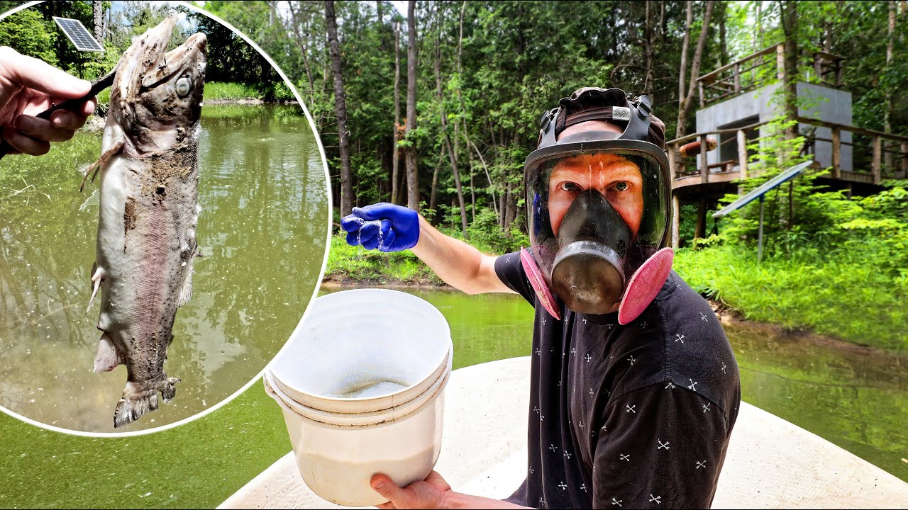 This Pond is Dead - Using EXPENSIVE Chemicals to Fix It! (will it work)