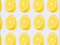 LEMON and SALT by Hideyuki Ono