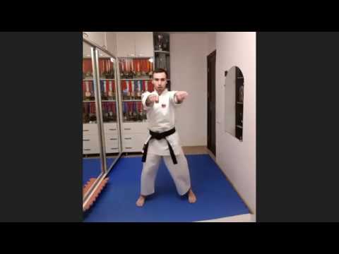 SHOTOKAN KARATE CLASS ONLINE FROM ARMENIA (WTKF) – 2020, April 22