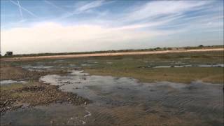 preview picture of video 'Mud flats at Thames estuary'