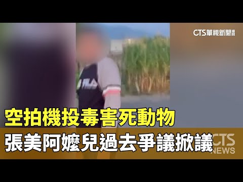 空拍機投毒害死動物　張美阿嬤兒過去爭議掀議