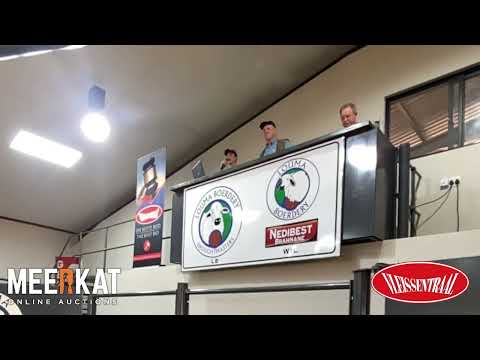 22 August 2024 - Louma Boerdery