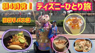 ラスベガス発・弾丸カリフォルニアディズニー!過酷なバス旅の先に待っていたもの