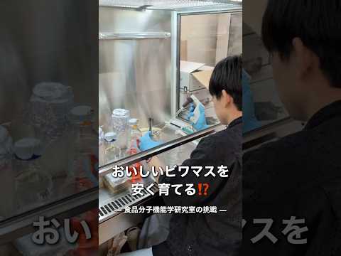 バイオデータサイエンス学科 科学で魚をもっと美味しく！食品分子機能学研究室の朝鮮