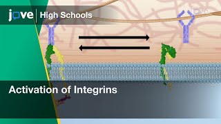 Activation of Integrins | Cell Bio | Video Textbooks - Preview