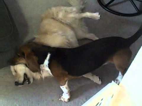 Jozy Update: May 19th 2012 Morning