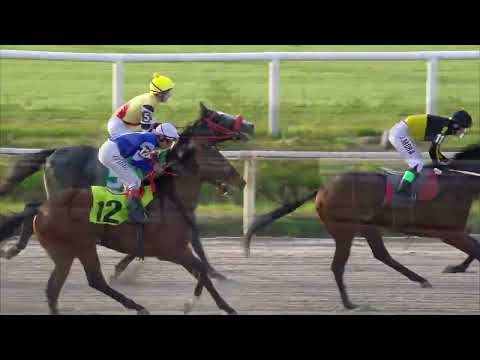 230723 c06 ELEGANT JONS