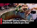 “Exprimen” turismo enológico; crece atractivo de Coahuila por vinos