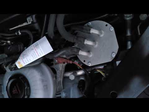 Vw Passat 2.0 TDI Schleifgeräusch Zahnriemen defekt kalt start