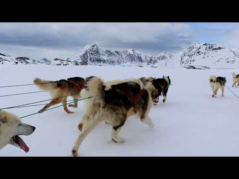 Desafío Ártico 2016