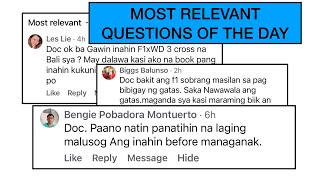 Q & A 081725
