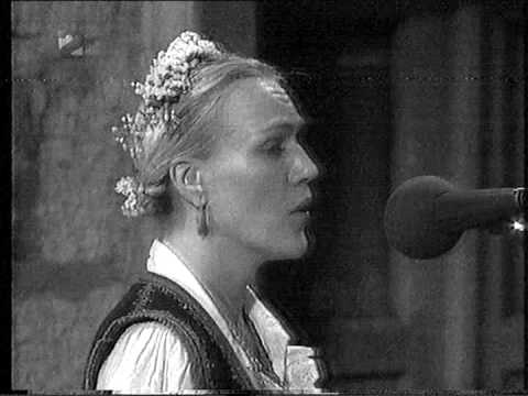 Klapa Puntari-Golubice,nemoj spati