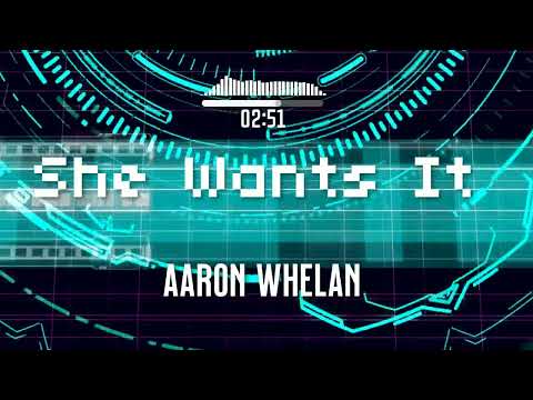 Aaron Whelan- She Wants It (Visualiser)