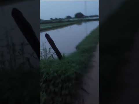 prakarti ka kahar ab gao main kishano k liye badti dikkate  😱😱@NaturalWorldFacts @natgeoindia