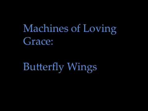Video thumbnail for Butterfly Wings