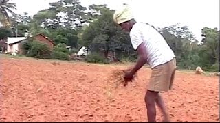 For Karnataka&#39;s drought-hit farmers, an endless wait for &#39;assistance&#39;