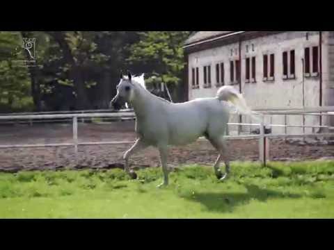 Pride Of Poland 2016