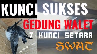 Download lagu 7 Kunci Sukses Gedung Walet || Faktor Penentu Sukses Budidaya Walet mp3 Download lagu 7 Kunci Sukses Gedung Walet || Faktor Penentu Sukses Budidaya Walet mp3
