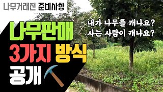 나무 거래 방법 공개! 거래 전 꼭 체크해야하는 나무농장 현장 탐방! | 나무대장