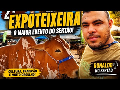 🌵 A EXPOTEIXEIRA ESTÁ IMPRESSIONANTE! Veja Como Foi a 2ª Edição