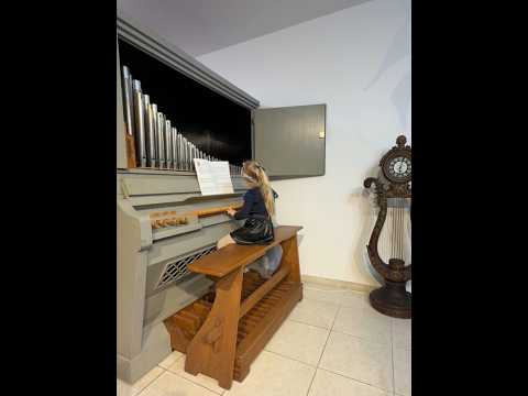 Tatiana Stupak School of Music - Organ Concert