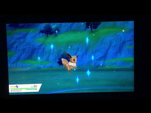 Pokémon Sword & Shield vs Dojo Master Mustard (3)