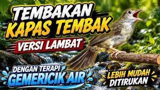 Download lagu TEMBAKAN KAPAS TEMBAK | VERSI LAMBAT | DENGAN TERAPI GEMERICIK AIR mp3