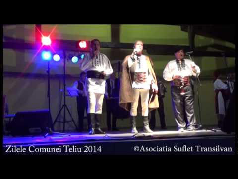 Ioan Bocsa Cate mandre am iubitu (cu Sergiu Cipariu si Ovidiu Olari)