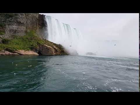 Niagara by day , by night and from the Goat's Island(2)