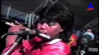 Download lagu Pallapa Lawas - Cocak Rowo Dian Karini mp3