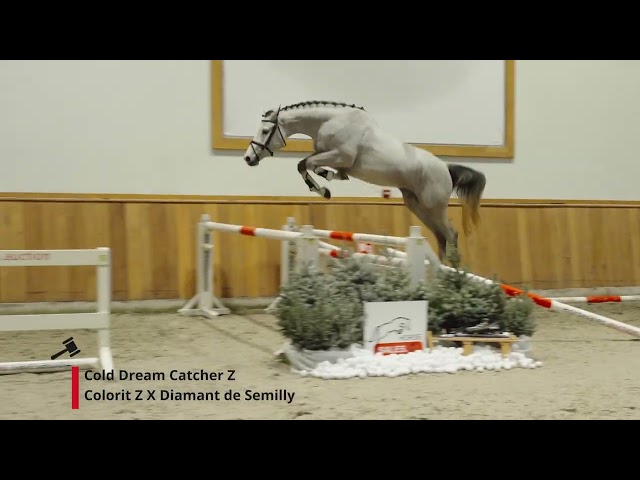 Cold Dream Catcher Z