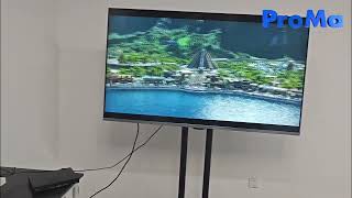 ProMa Passive 3DTV 65in is now on promotion