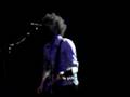 The Fratellis - doginabag