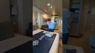 MSC Seascape Balcony Cabin 14199