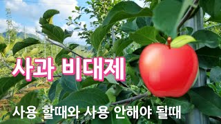 사과 비대제 사용 할때와 사용 안해야 될때를 알아 보겠습니다