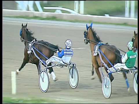 Trotto 13/03/2016 - 7° corsa