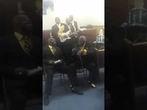 Jubilee Hummingbirds Pt 7