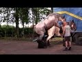 Horse Mating Video