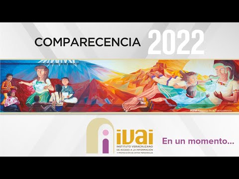 Comparecencia de la Comisionada Presidenta de IVAI