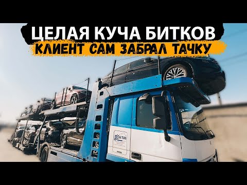 Целая куча битков, клиент снами на выдачи авто #ДмитрийАвтоподбор #dauto #автоизамерики